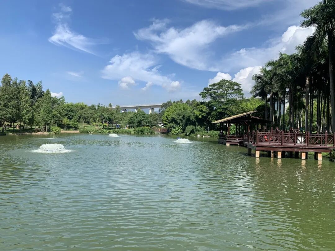 695f66c27d6ae.jpg 695f66c27d6ae.jpg